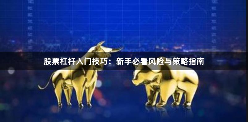 股票杠杆入门技巧：新手必看风险与策略指南